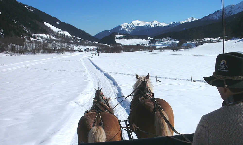 Cosa ne direste di uno splendido giro in slitta trainata dai cavalli?