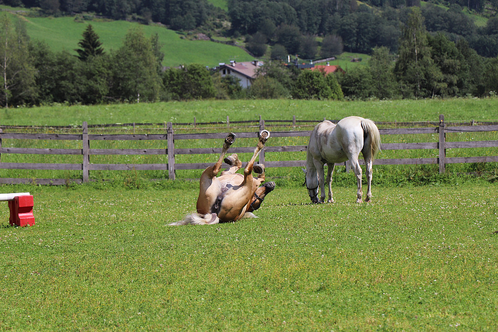 AufdemRücken