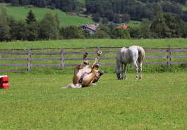 AufdemRücken